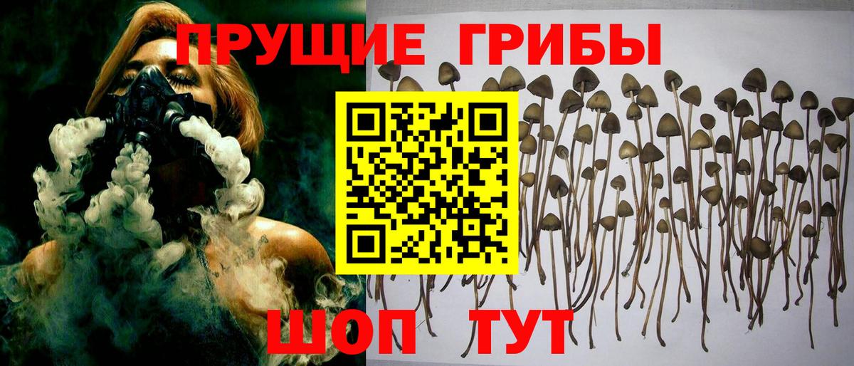 Кумертау  Галлюциногенные грибы Psilocybe  Вход с VPN 